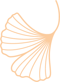 Single ginkgo leaf in soft tan color